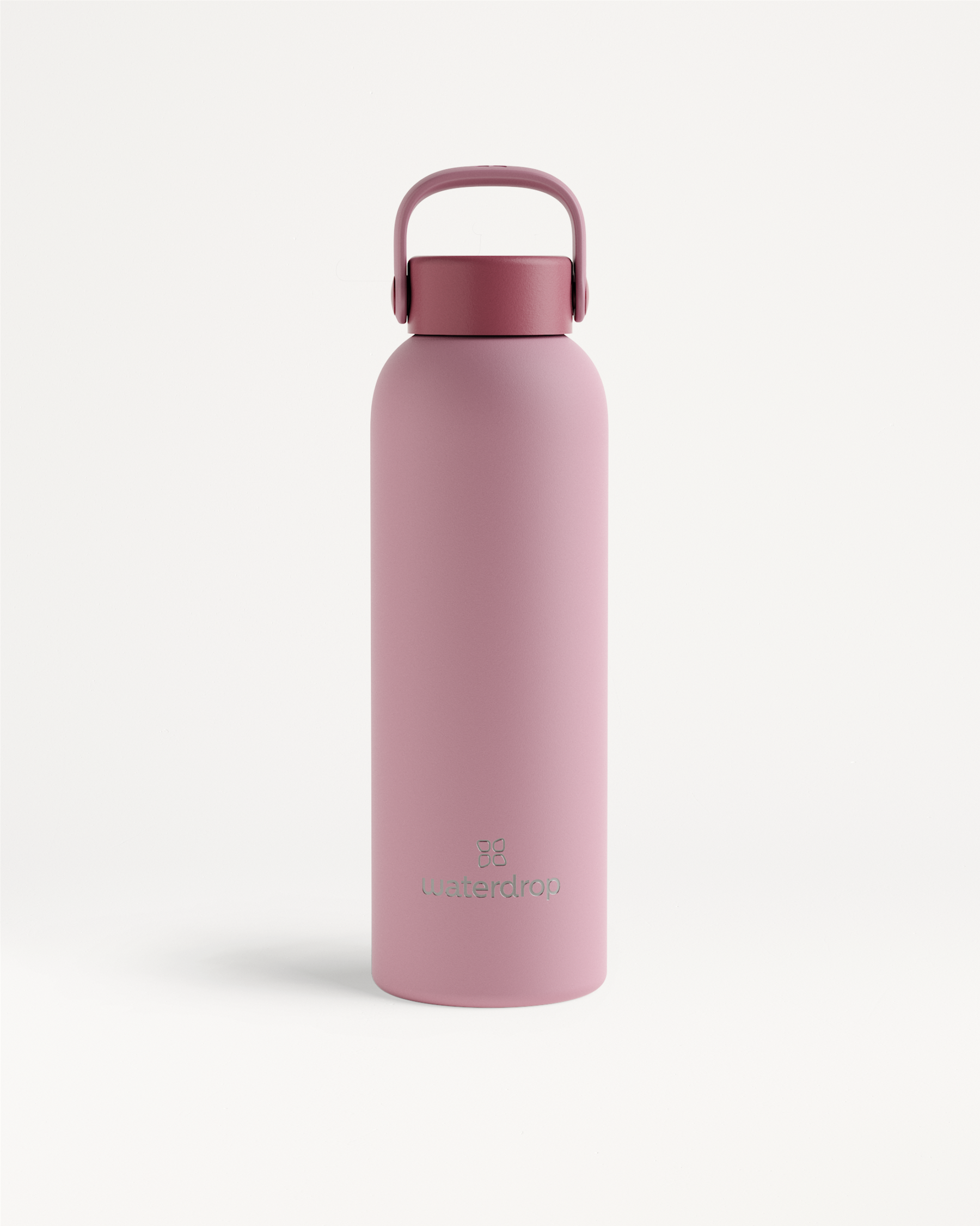 Thermo Steel Bottle · Carry Cap