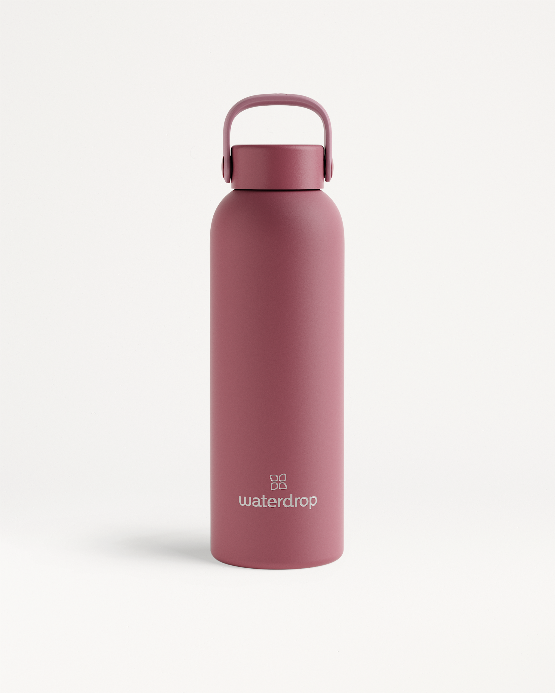 Thermo Steel Bottle · Carry Cap
